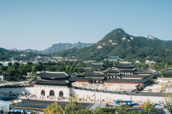 Reply image .jpg