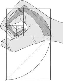 Reply image .jpg