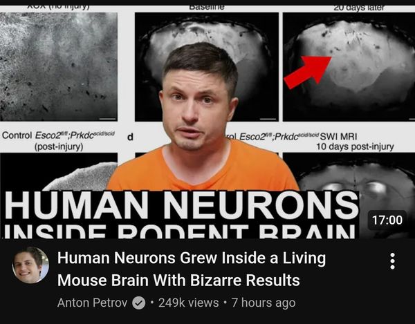 op image