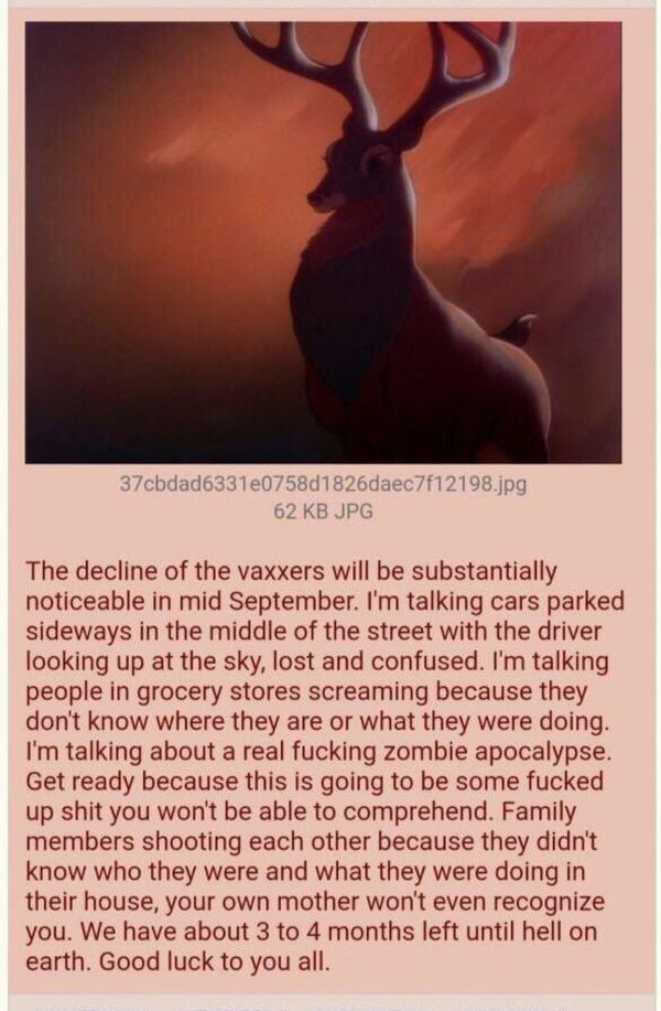 op image