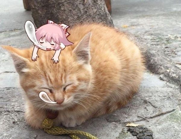 Reply image .jpg