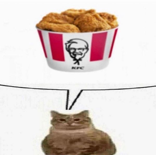 Reply image .jpg