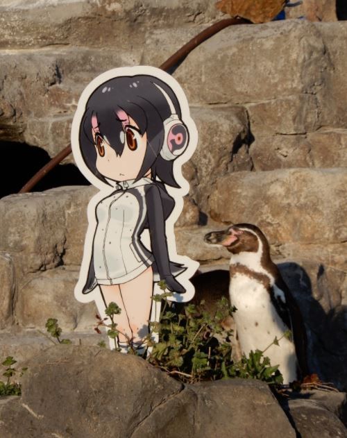 Reply image .jpg