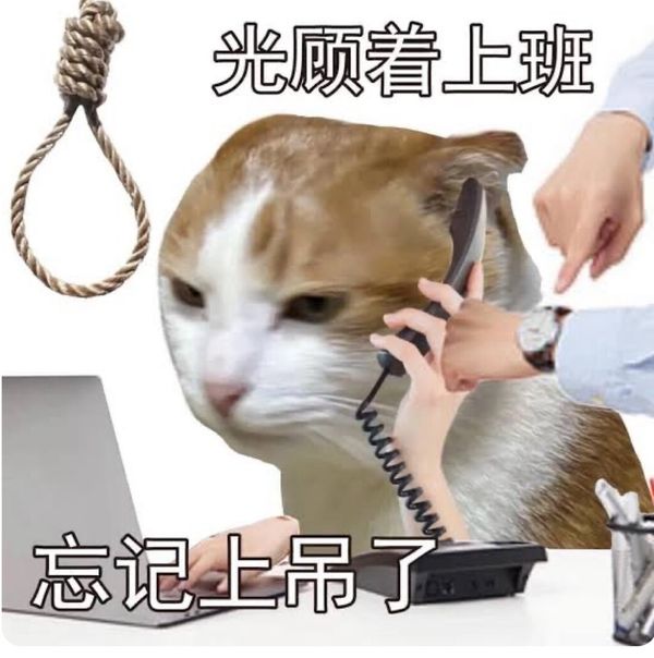 Reply image .jpg