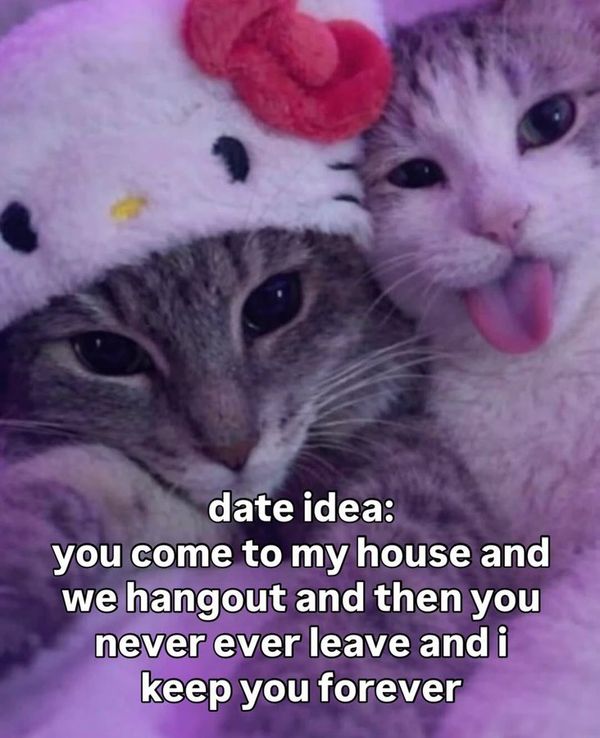 Reply image .jpg