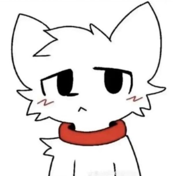 Reply image .jpg