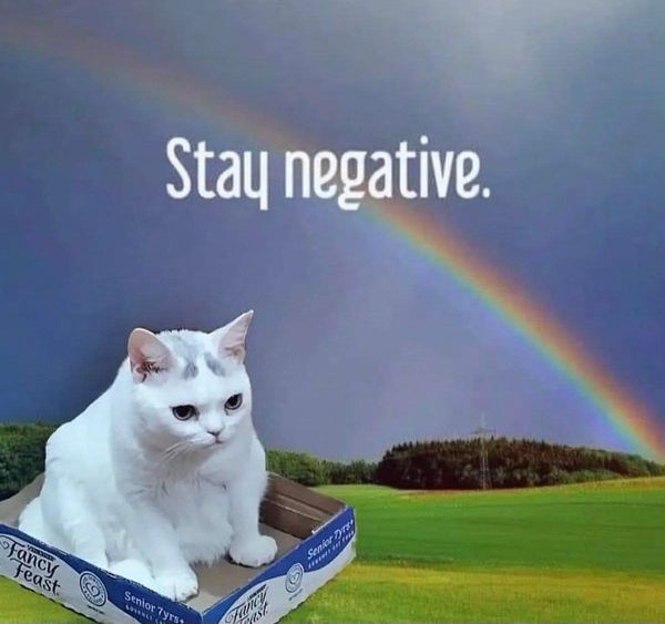 Reply image .png