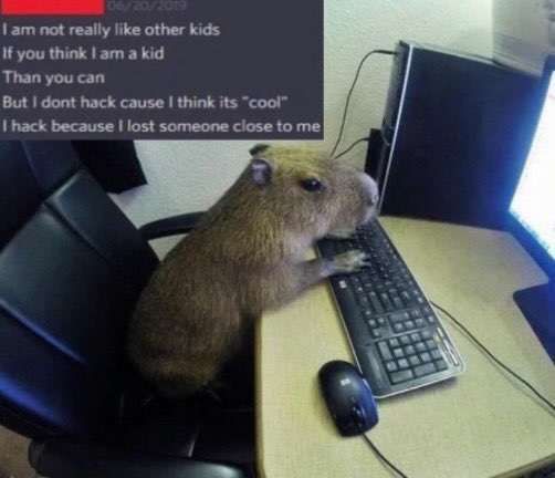 Reply image .jpg