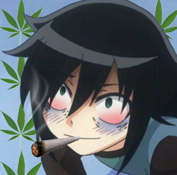 Reply image .jpg