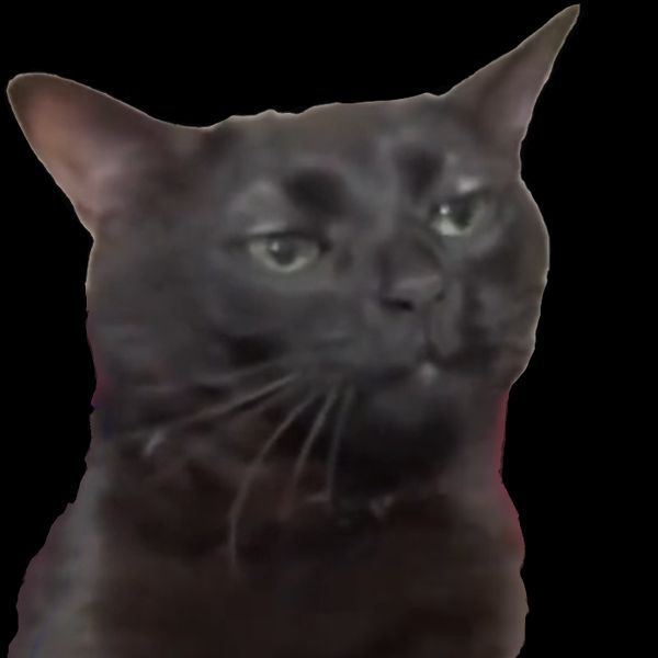 Reply image .png
