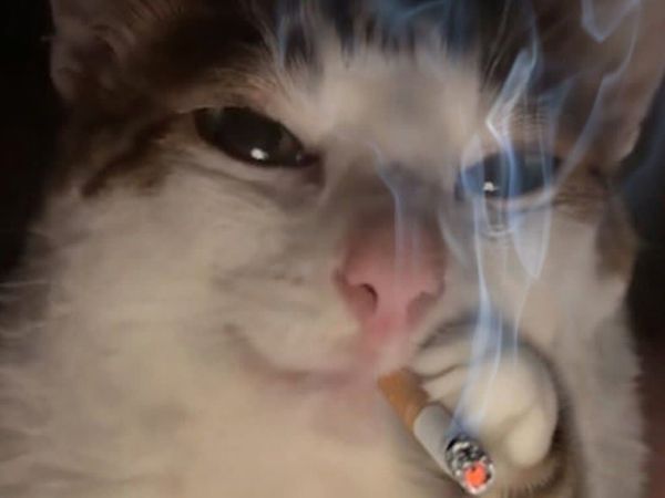 Reply image .jpg
