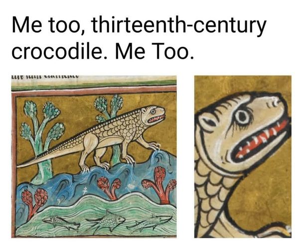 Reply image .jpg