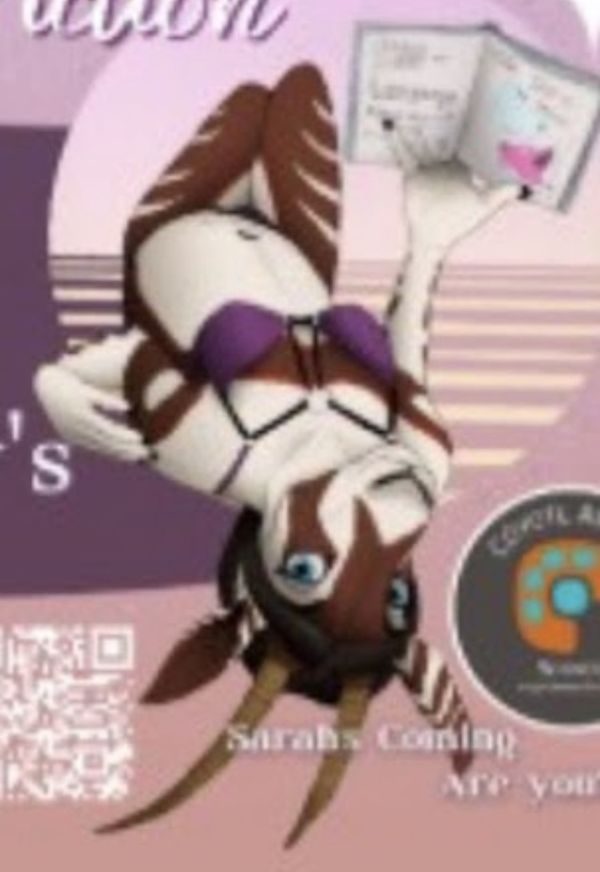 Reply image .jpg