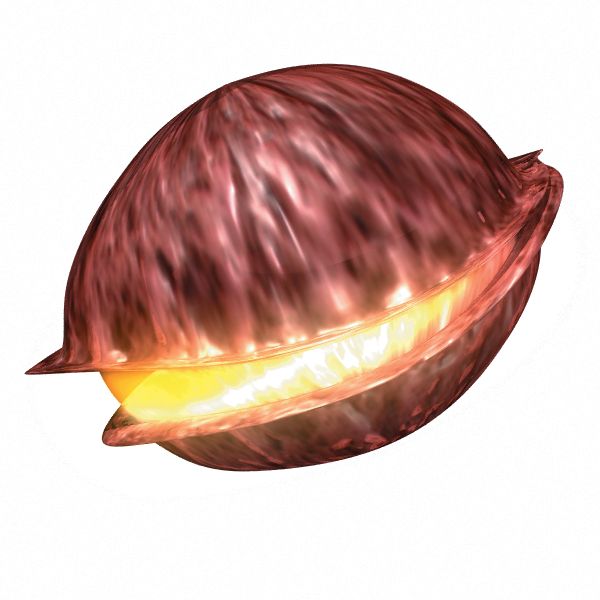 Reply image .png