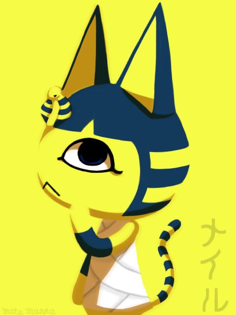 op image