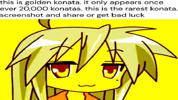 op image