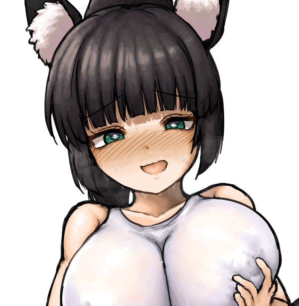 Reply image .jpg