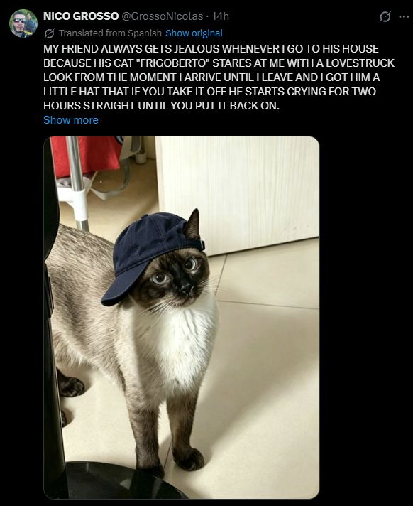 Reply image .png
