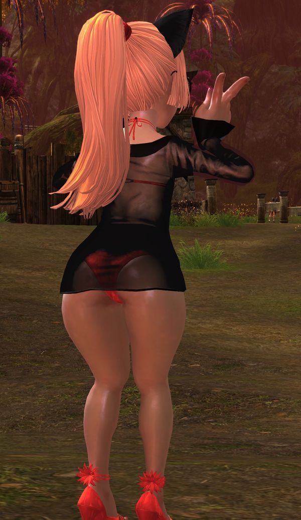 Reply image .jpg