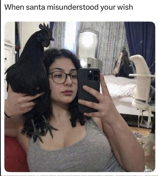Reply image .jpg