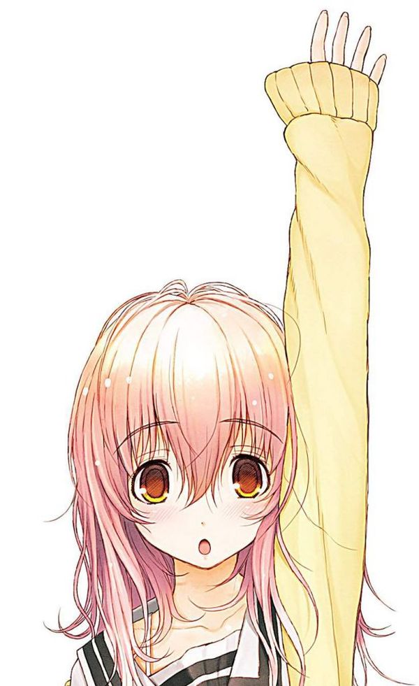 Reply image .jpg