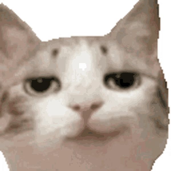 Reply image .png