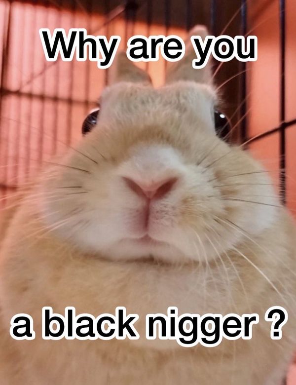 Reply image .png