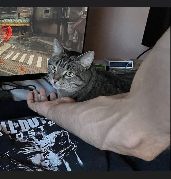 Reply image .png