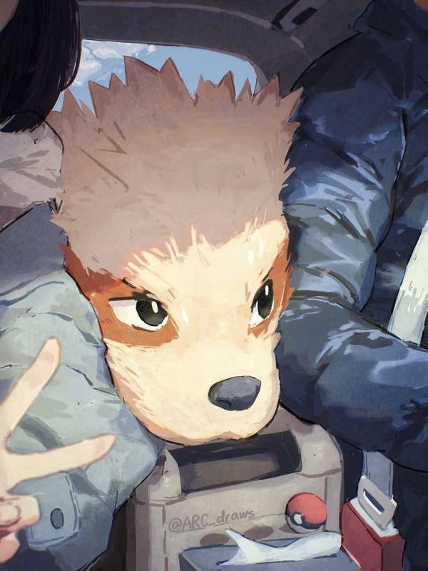 Reply image .jpg
