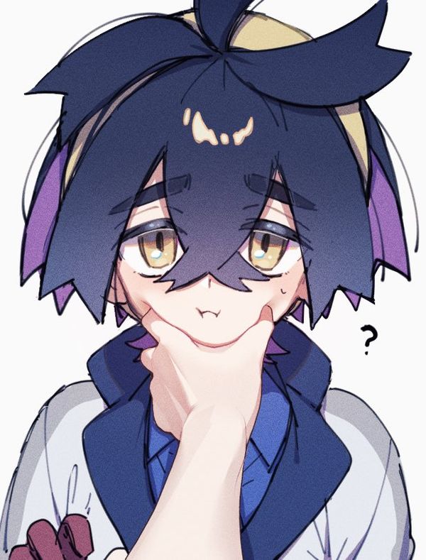 Reply image .jpg