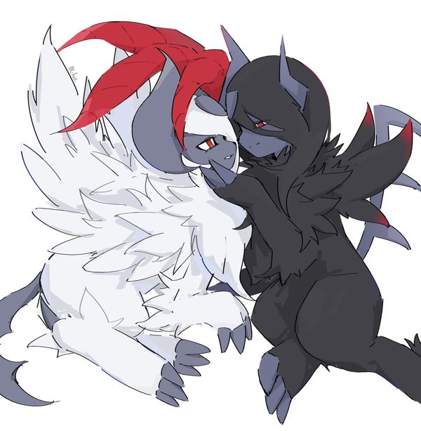 op image