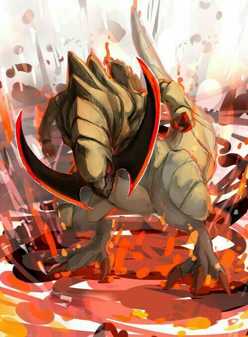 op image