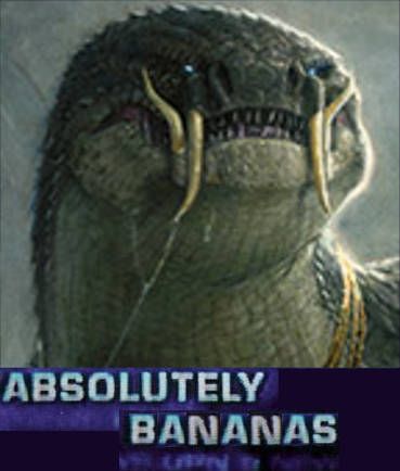 Reply image .jpg