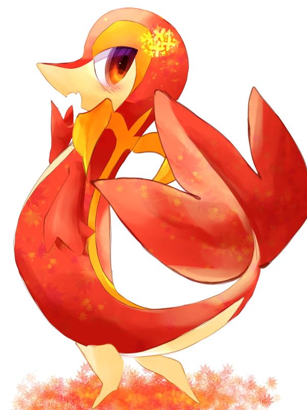 Reply image .jpg