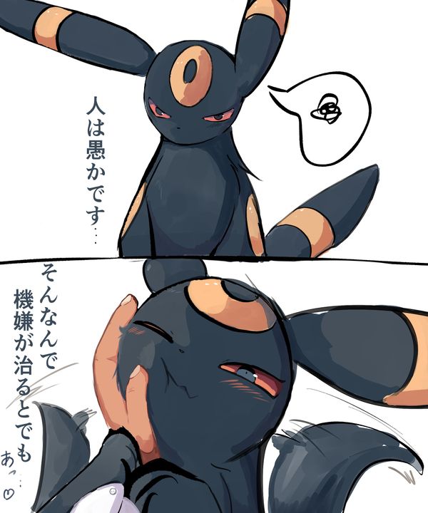 Reply image .jpg