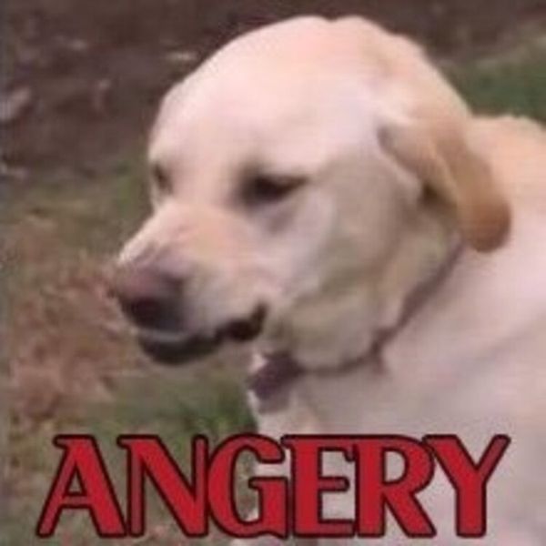 Reply image .jpg