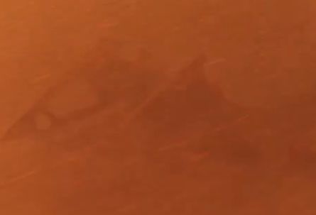 Reply image .png