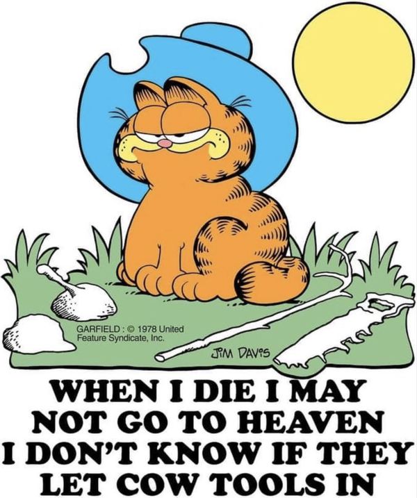 Reply image .png