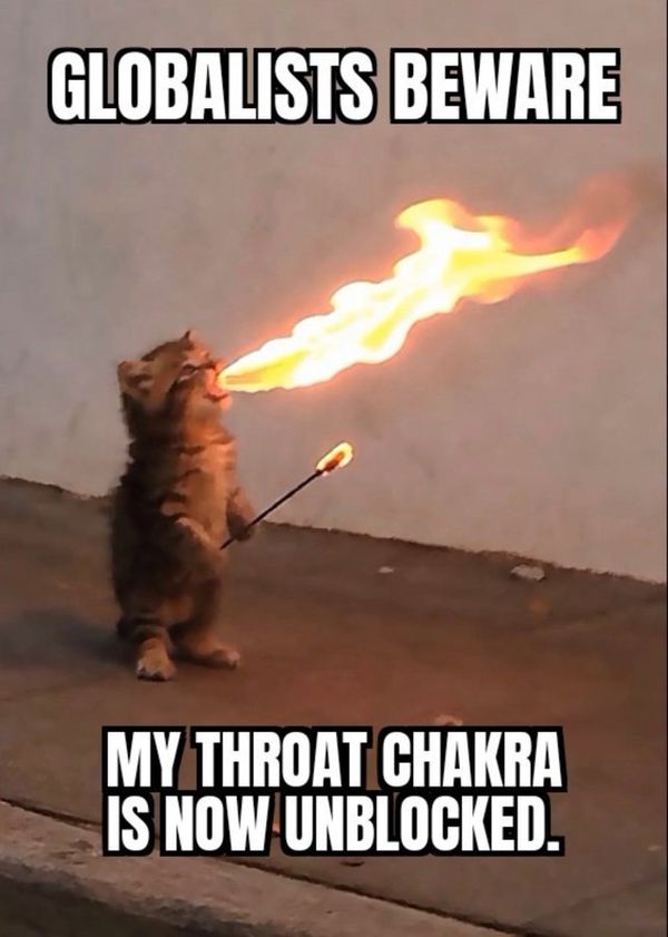 Reply image .jpg