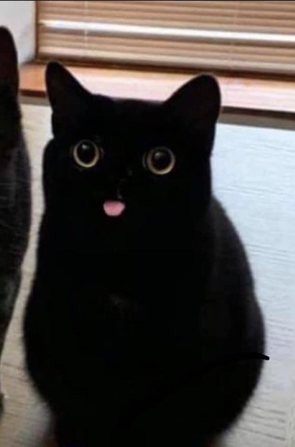 Reply image .jpg