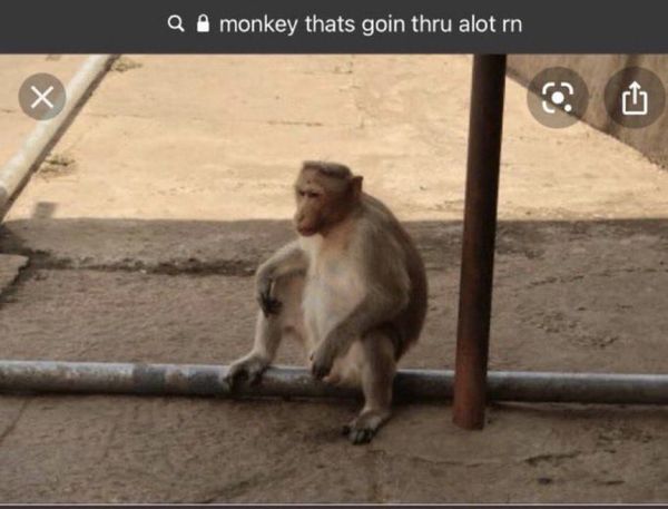 Reply image .jpg
